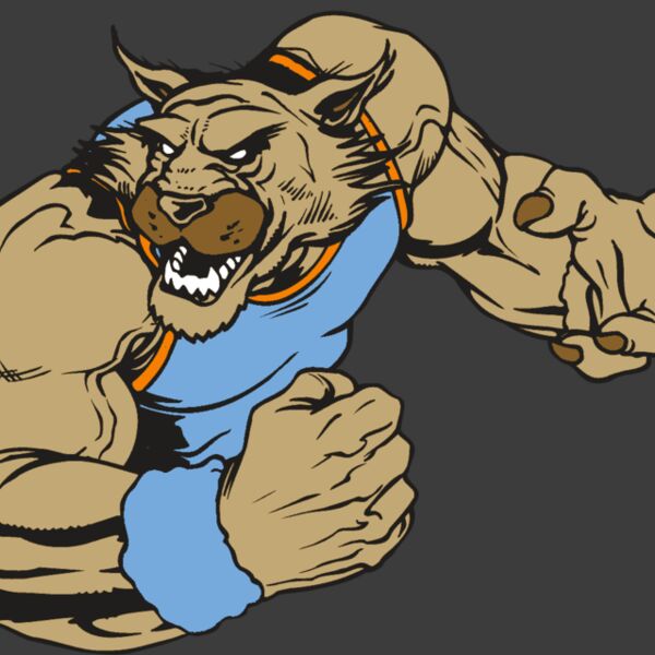 AR WILDCAT 46 RC Thumbnail