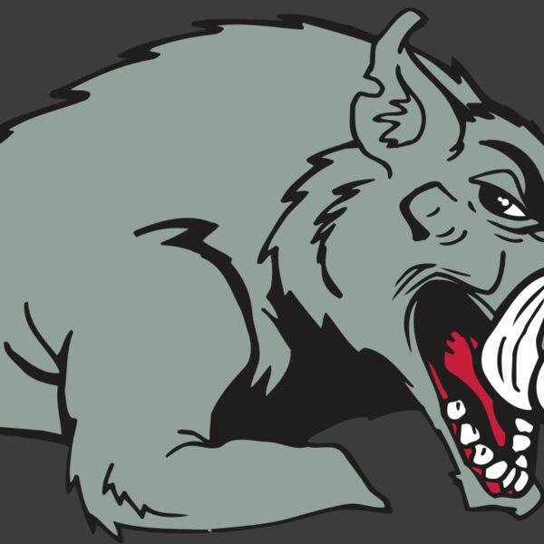 AR RAZORBACK 14 RC Thumbnail