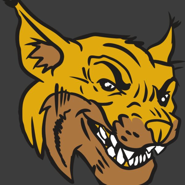 AR15 WILDCAT 01 RQC Thumbnail