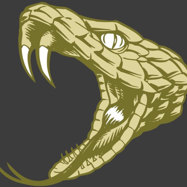 BAW SNAKE 11 RC Thumbnail