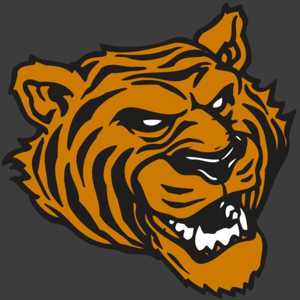 AR TIGER 43 RC Thumbnail