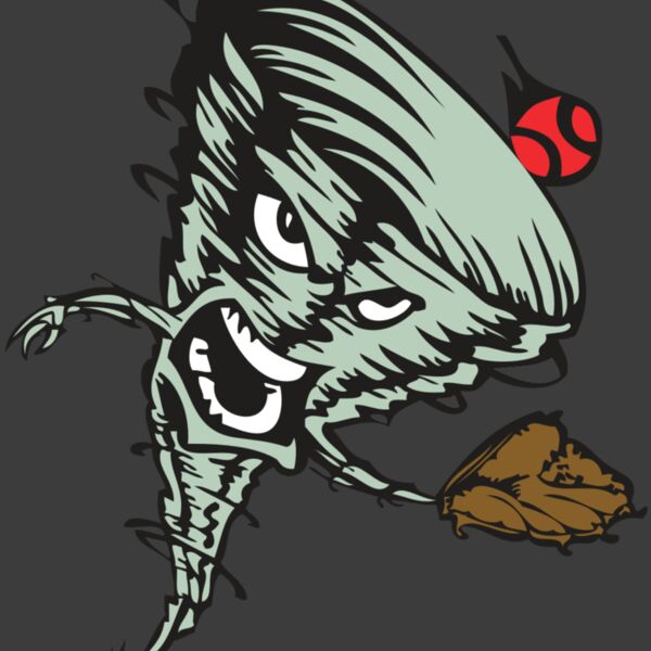 BAW STORM 09 RC Thumbnail